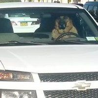 WhatIgottosayis (@tweetmycomment) 's Twitter Profile Photo