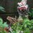 globule1's profile image