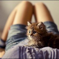 سالب١٩ (@qwerty80587171) 's Twitter Profile