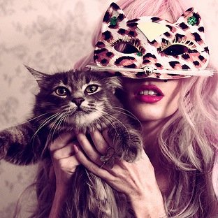 My life as a single girl in her 20s working and living life with her cat.