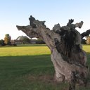 Avery Hill Park - @AveryHillPark - Twitter