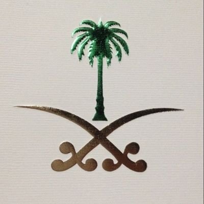 (. سيف الروقي .) (.سيف الروقي )