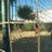 LorenaPsDeporte's profile image
