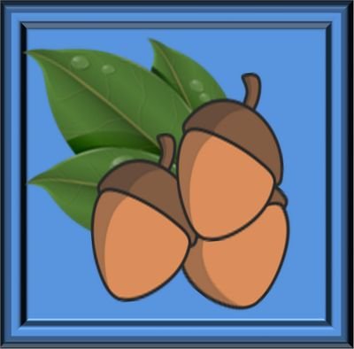 Nut Slingers is a fun and addicting mobile game currently being developed out of beautiful Vancouver, BC! This account is for tracking the development process