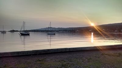 hoffmental's profile picture. 