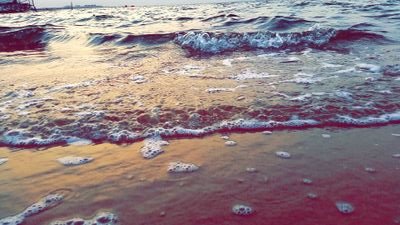 الأحلام وجدت لتتحقق ~