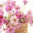 fraise0524