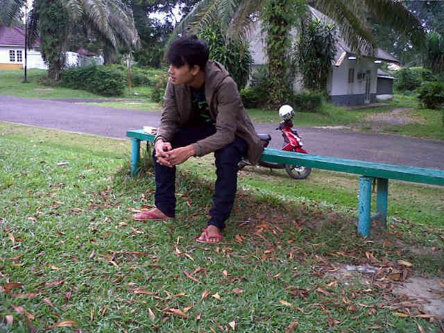 fi_di 20112011