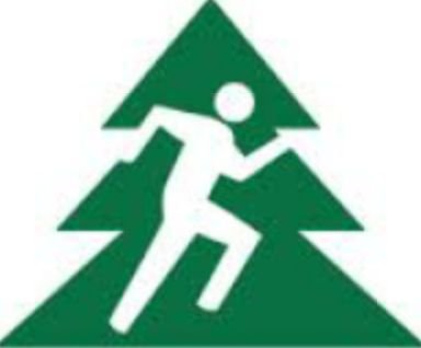Jalur Pipa Gas (JPG) - trek lintas Alam di Bintaro/BSD City. Satu putaran  5km, 10km, 20km. Start RUN 06.00 & WALK 15.00. Gratis!! info 081280200100 /cek fav
