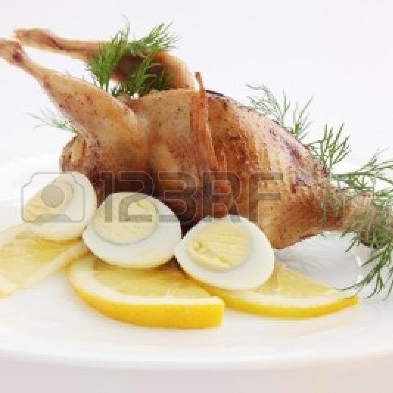 quailwithlemon's profile picture. 