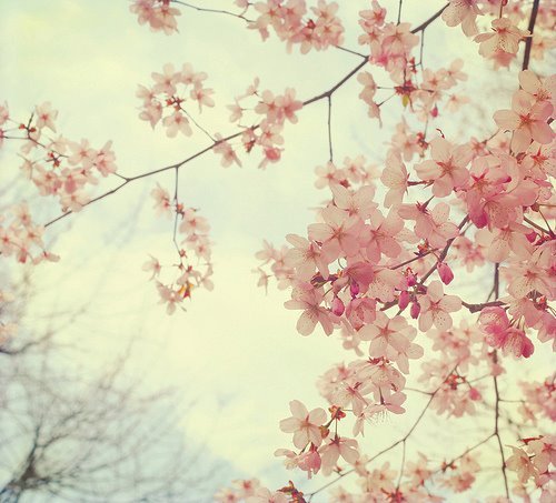 There is no such thing as a perfect life. As you live, unexpected accidents occur and irreversible mistakes are made.