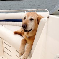 Joseph H Lohner (@josephhlohner) 's Twitter Profile