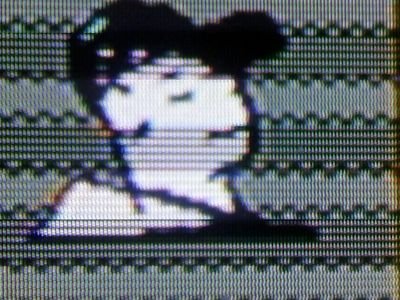 Thebatter
