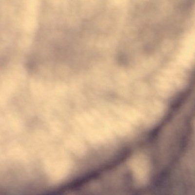 admiradoamor's profile picture. Estamos seguindo todos que seguirem de volta :) o twitter é novo!