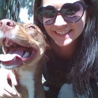 Alex Olson (@alexox0) 's Twitter Profile