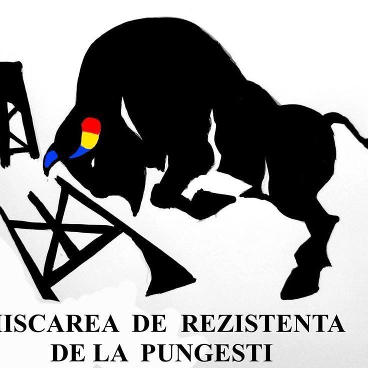 În urma evenimentelor începute de Sf. Paracheva în Pungești, Vaslui, sătenii localității, militanții de mediu, dar și români din țară și străinătate s-au consti