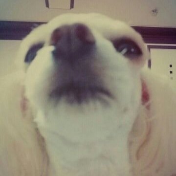 i want lee chanhee. now.