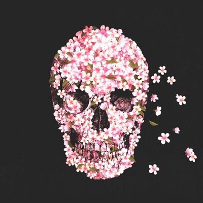 AlanoudAFT's profile picture. 