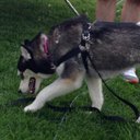 Ryan Livingston - @rynorocks55 - Twitter