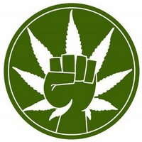 NW Grower (@spliffious) 's Twitter Profile