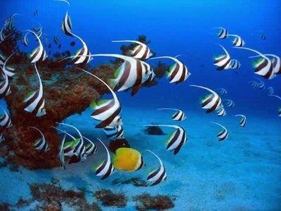 pnIIIxoxo's profile picture. Private equity, Venture Capital hedge fund