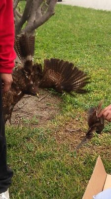 Portilla9's profile picture. nacio en el Perú