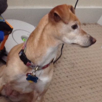 Bruin89's profile picture. 