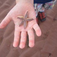 Jay Tredway (@jwtredway) 's Twitter Profile