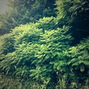 Konrad Young - @KonradYoung - Twitter