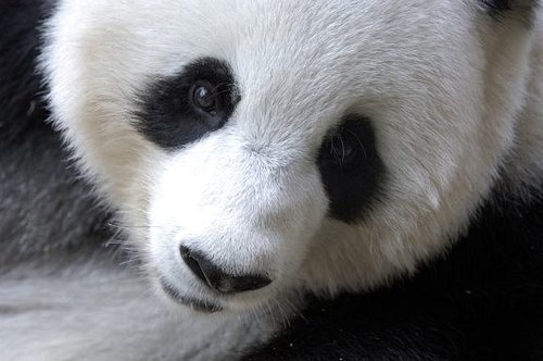 Halvah's profile picture. Retweets do not imply endorsement.