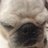 NgZzetta's profile image