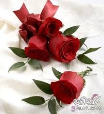 ‏°ربي رضاك والجنة♥~