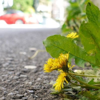 miemiexxx's profile picture. 🪟☘️シンガーソングライター『和紗』さんと出会ったことから始まった呟き🎵🤍🌿 らぶ＝音楽🎧 ドラマ📺  明菜ちゃん💄うさぎのチョコ( H29·6·2 空へ )🐇 絵本、読みきかせ📖🌸🏫  クロスステッチ🪡 料理 etc… 雑多な主婦🤗🍅🍙🍱🍚🥢💕