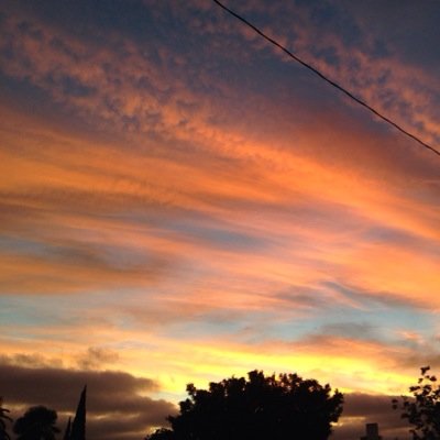 lizzzy_pooo's profile picture. 