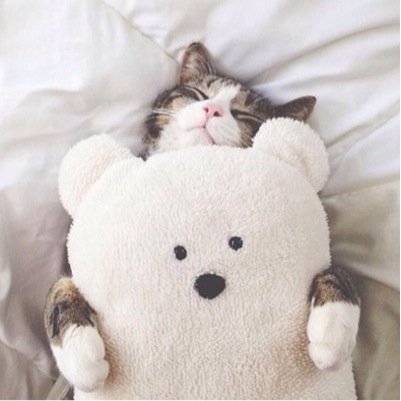 食 べ る こ と 寝 る こ と 笑 う こ と 大 好 き ◡̈⃝♡