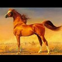 يزن (@059b73da8e6c4de) Twitter