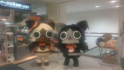 所天さんのプロフィール画像