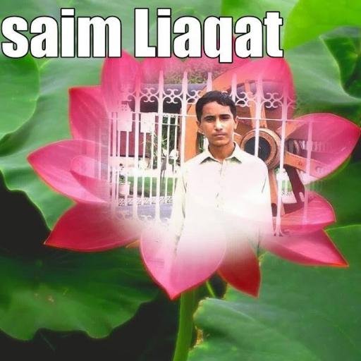 saimliaqa2's profile picture. 