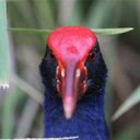 Andy Millar - @MilzieMillar - Twitter