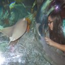 Amanda Shoopman - @shoopmana123 - Twitter