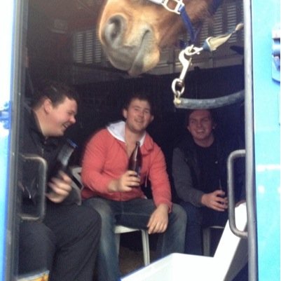 Harness Mad!
Stablehand at Allstars Racing(Purdon & Rasmussen