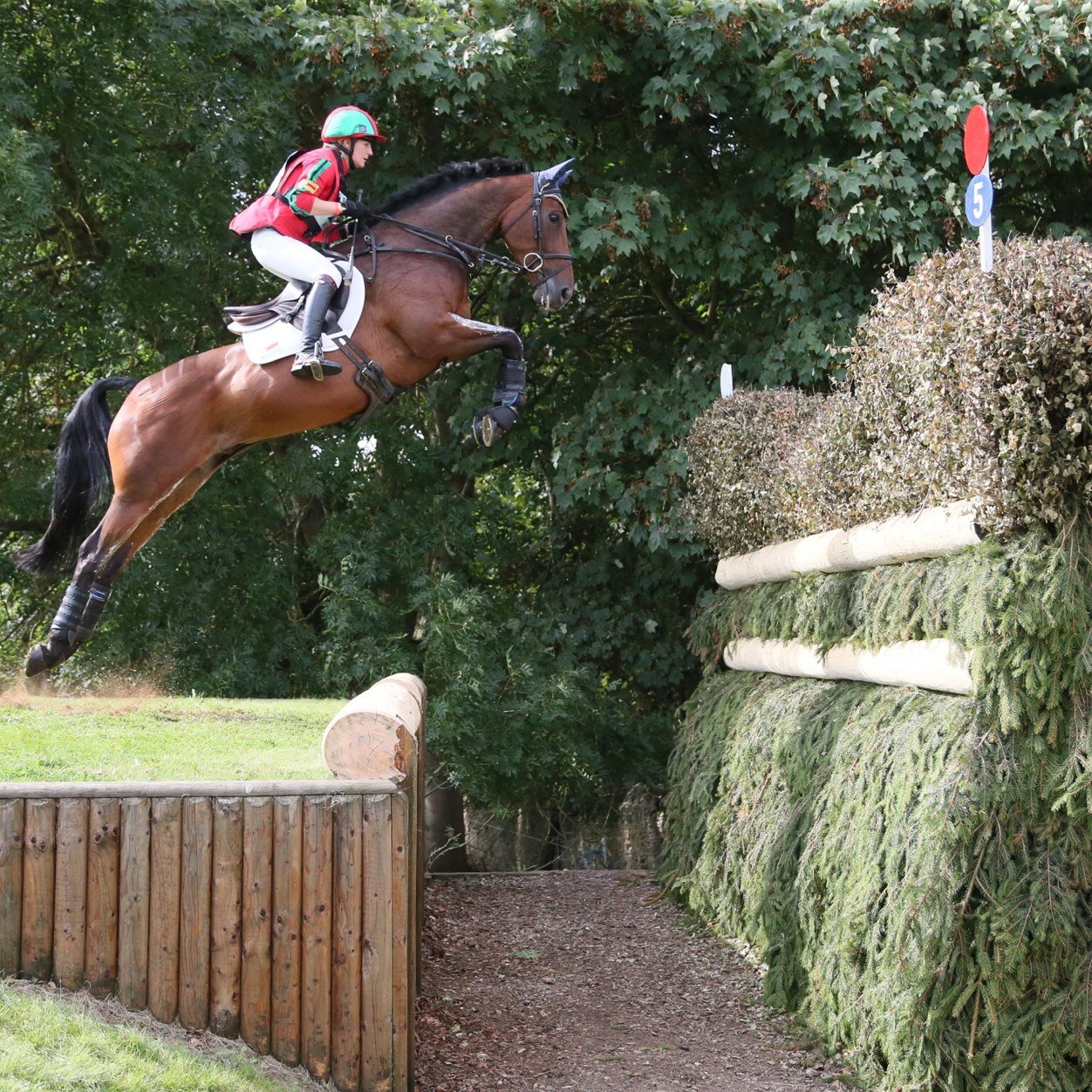 First ever Zimbabwean equestrian to qualify for the Olympics. Off to Rio Olympics for Eventing! #eventing #zimbabwe