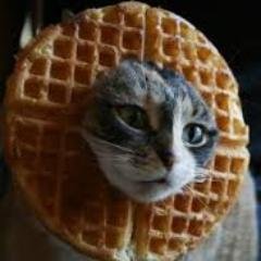 Ralstini's profile picture. 