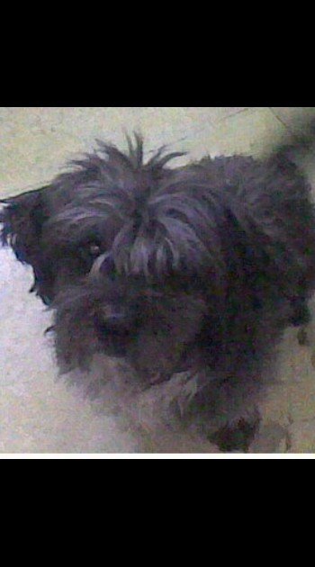 LC_Ivonne's profile picture. Extrovertida  y controversial =)!!