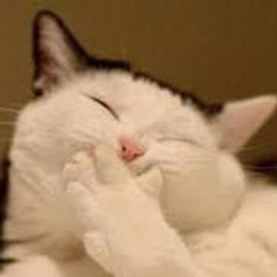 ショタスカ 메루카리 - 비드바이코리아