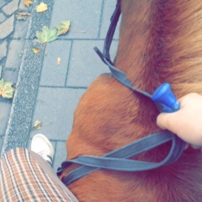 ♡ vellesan ♡ hockey ♡ paardrijden ♡ friends ♡