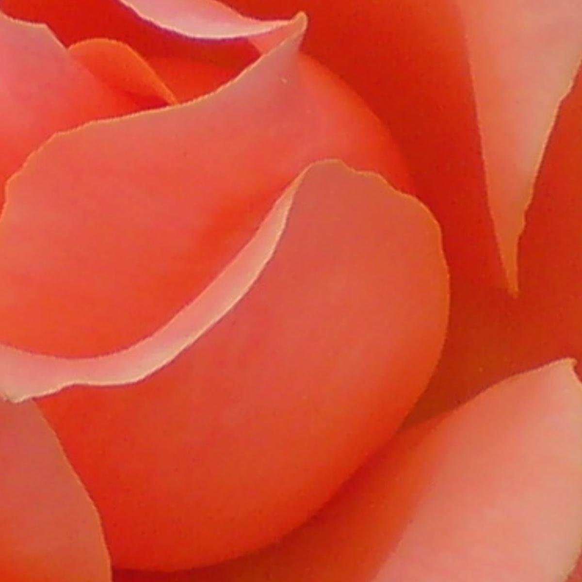 EFN_EFN's profile picture. Using mindfulness, the practice of cultivating awareness of the present moment without judgement.