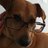 arRicci83's profile image