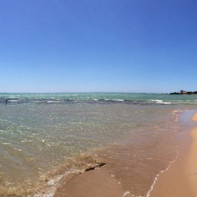 MaxOrefice's profile picture. 