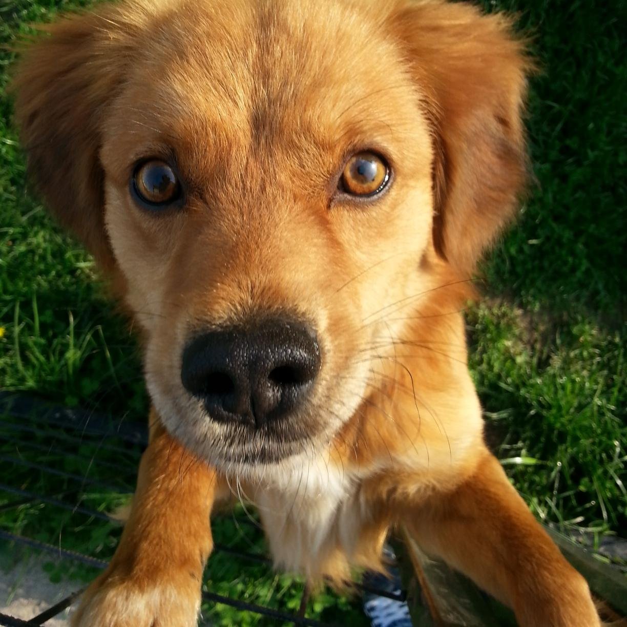 27oana's profile picture. 